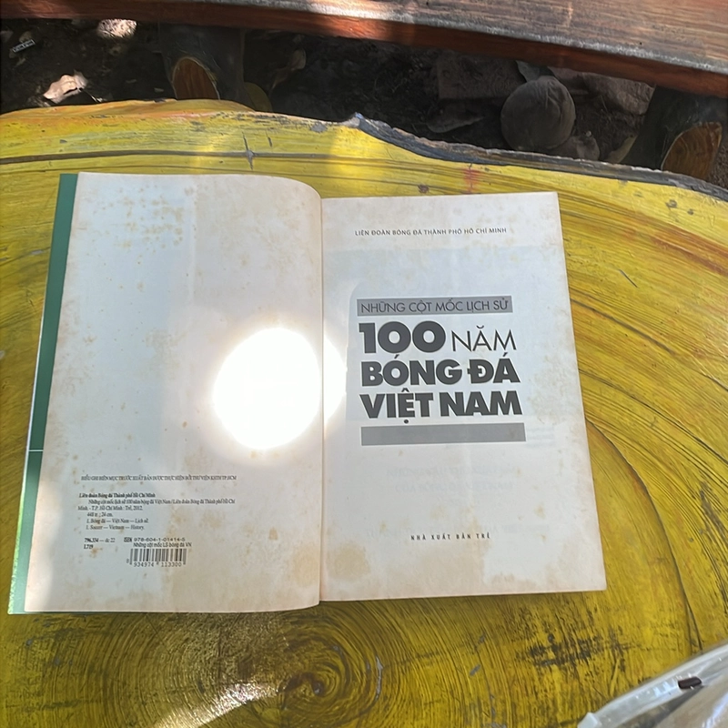 Những cộ mốc lịch sử 100 năm Bóng đá Việt Nam 463691
