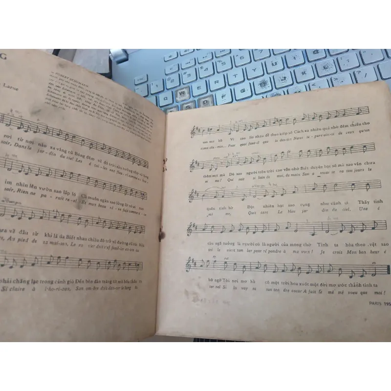 MƯỜI BẨY TÌNH CA BẤT TỬ - PHẠM DUY 996900