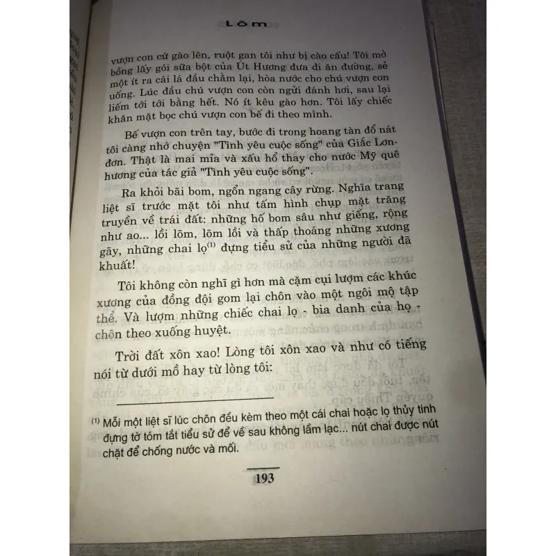 Lõm-Sơn Tùng 993889