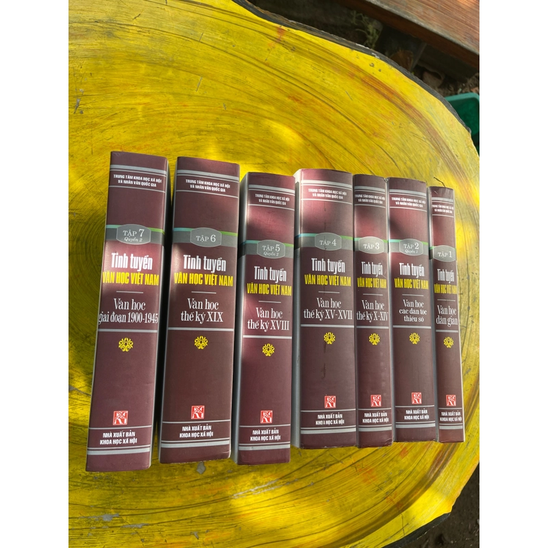 Combo Tinh tuyển Văn học Việt Nam 463883