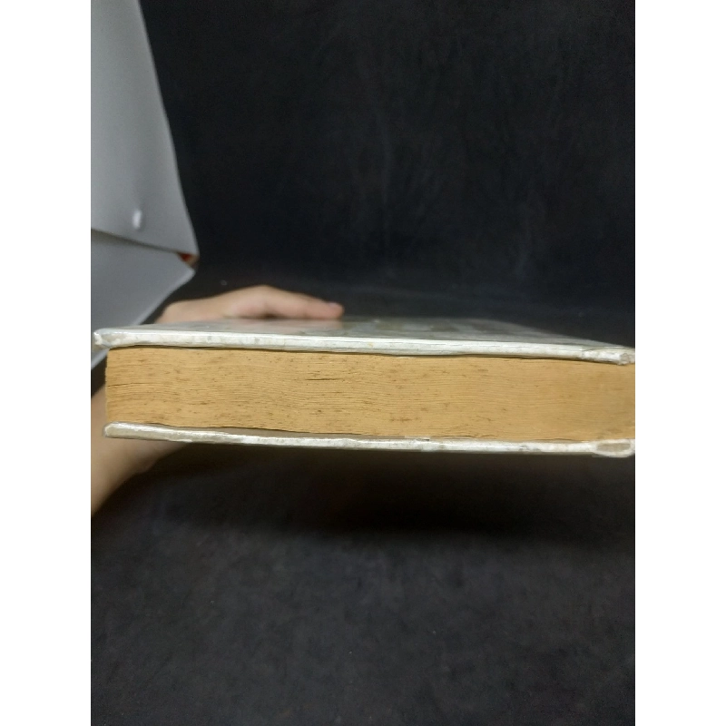 Hope - how Triumphant leaders create the future mới 70% HCM1402 910607