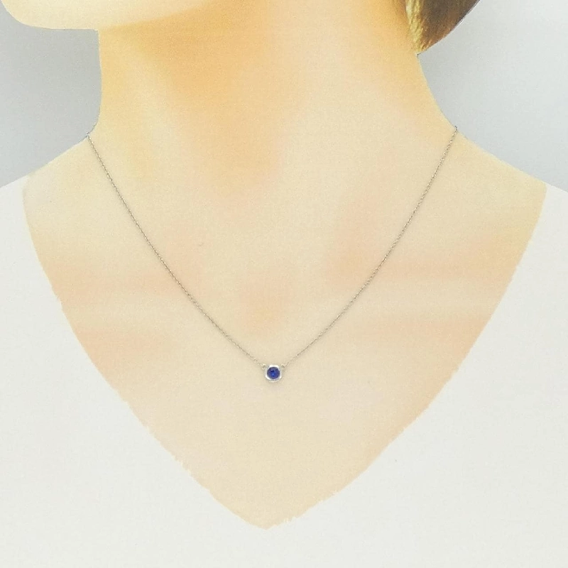 Dây chuyền Tiffany Color by the Yard - Hàng hiệu Authentic 840780