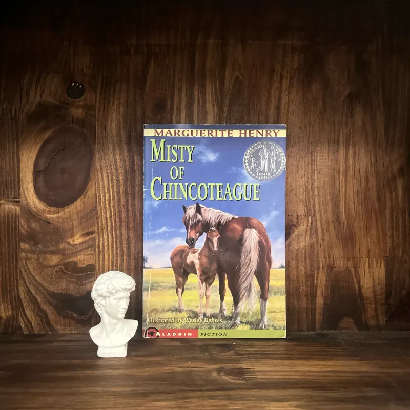 ✨𝑴𝒊𝒔𝒕𝒚 𝒐𝒇 𝑪𝒉𝒊𝒏𝒄𝒐𝒕𝒆𝒂𝒈𝒖𝒆✨ (Newbery Honor Book) 709264