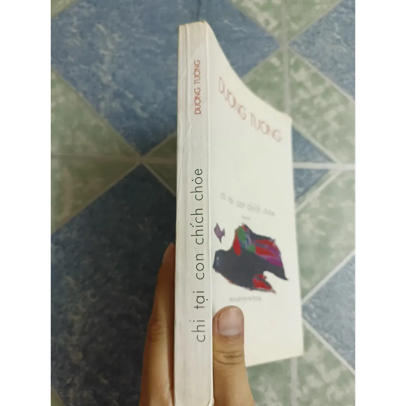 Chị tại con chích chòe - Dương Tường 564404