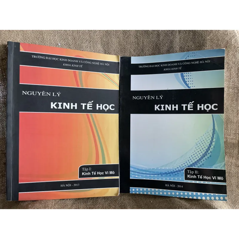 Nguyên lý kinh tế học - 500 trang khổ lớn- N. Gregory Mankiw 960521