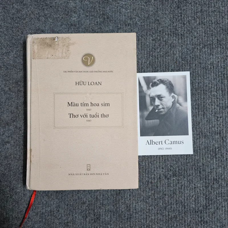 Mầu tím hoa sim - hữu loan 991014