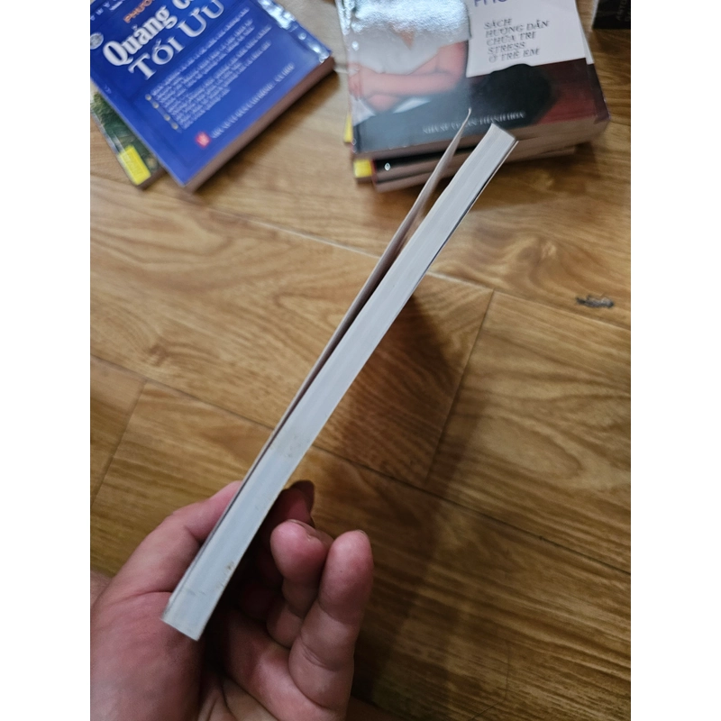 Nuôi con nên người trong một thế giới phức tạp  407990