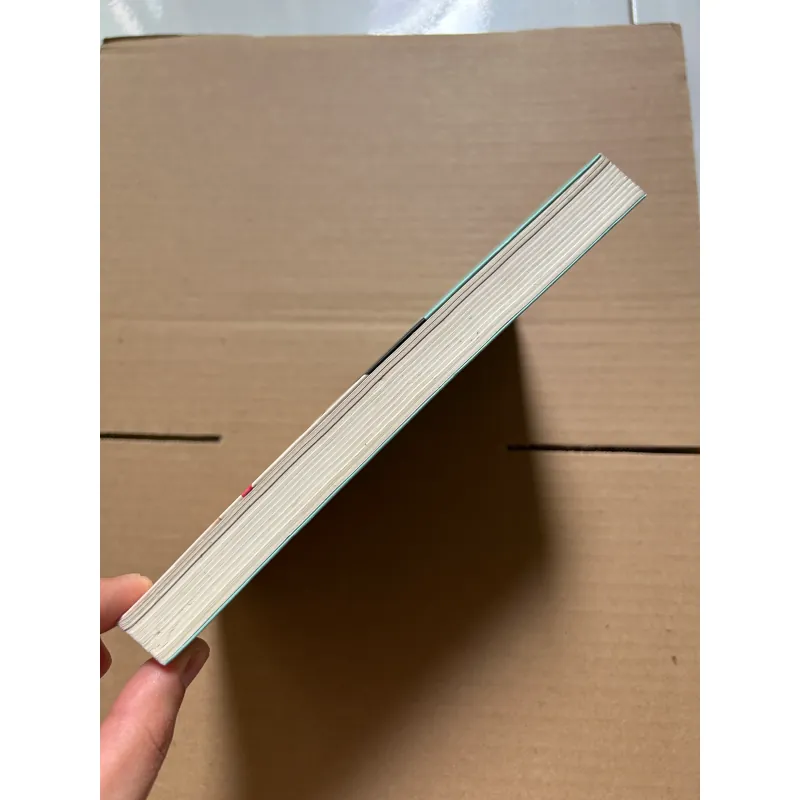 Càng mạnh mẽ càng dịu dàng - Lý Ái Linh 957057