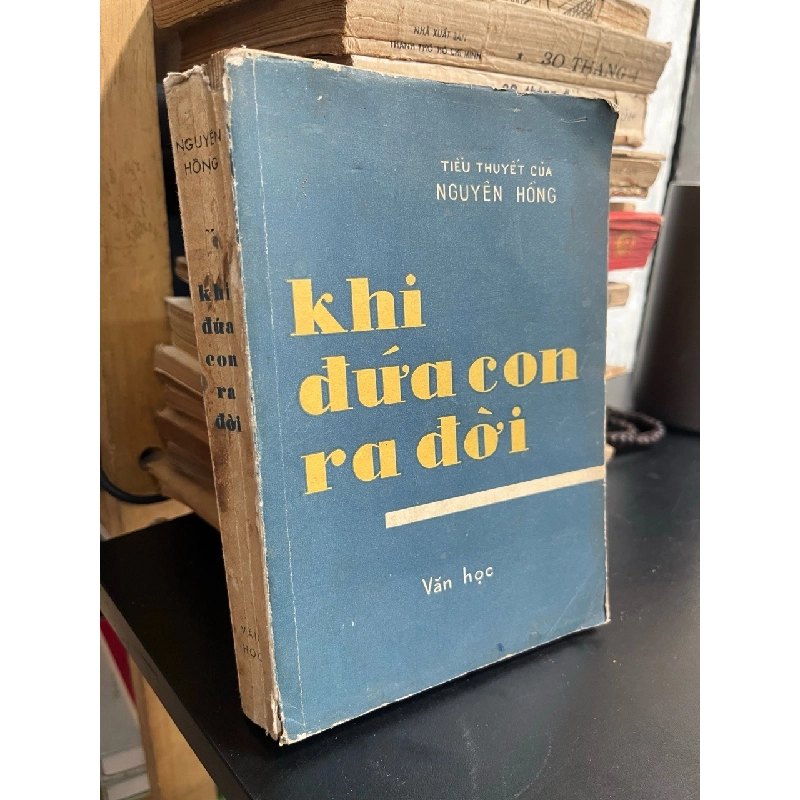 Khi đứa con ra đời - Nguyên Hồng 525592