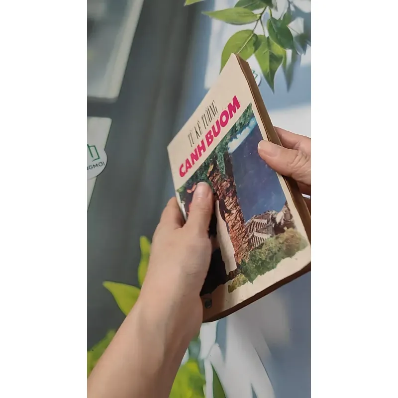 [XƯA] Cánh Bướm (1989) - Từ Kế Tường 776073