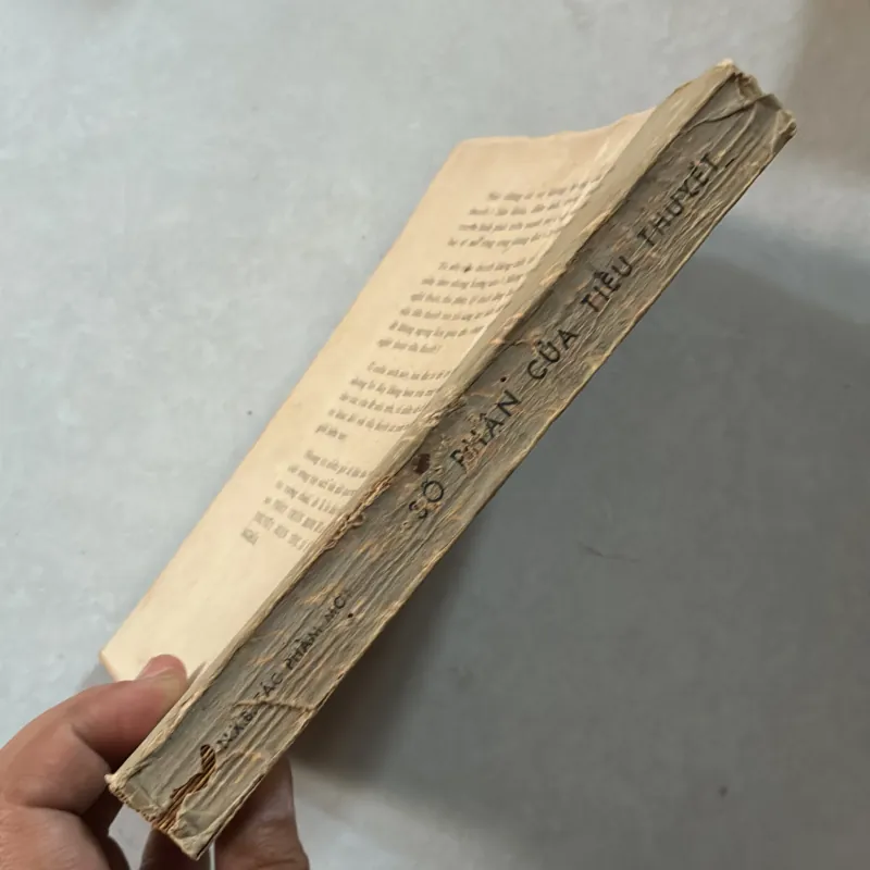 Số phận của tiểu thuyết  796971