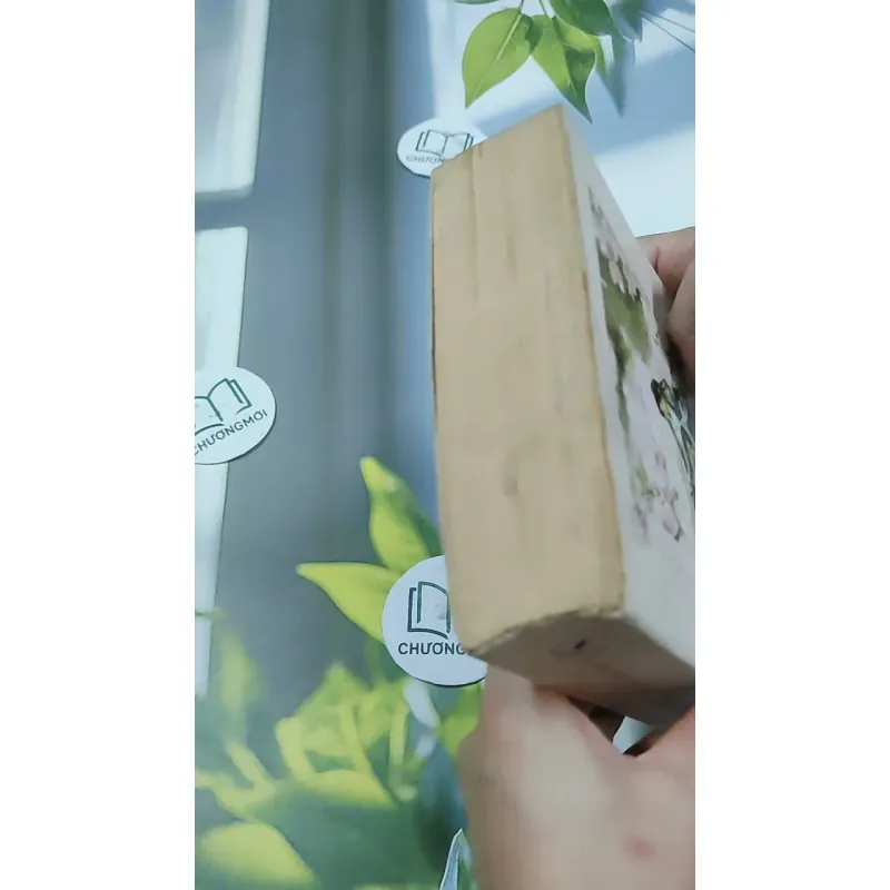 Tam Sinh Tam Thế Thập Lý Đào Hoa - Đường Thất Công Tử 744729