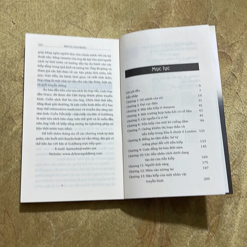 KHÁM PHÁ TIỀN KIẾP VÀ HẬU KIẾP- BRUCE GOLDBERG 688301