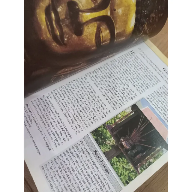 Insight guide Vietnam 600465