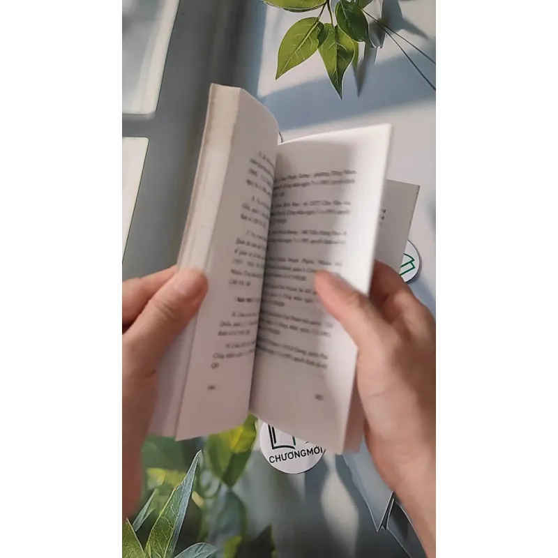 Việt Nam Tư Liệu Tóm Tắt - Nguyễn Khắc Thuần 970225