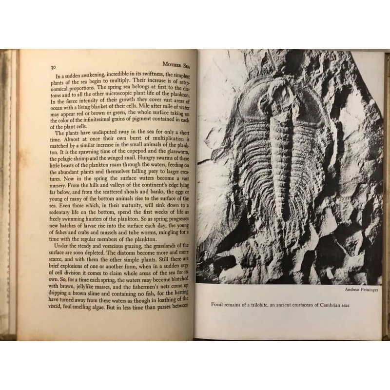 THE SEA AROUND US - Rachel L. Carson - Oxford University Press 1961  452847