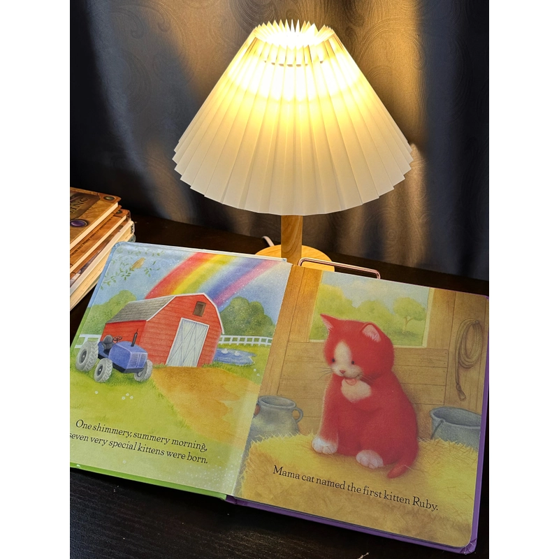 Boardbook Rainbow Kittens - Sách thiếu nhi 302103