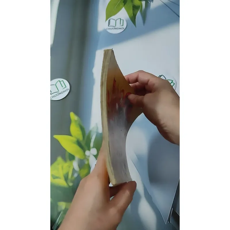 Cao Ly Đầu Hình 928569