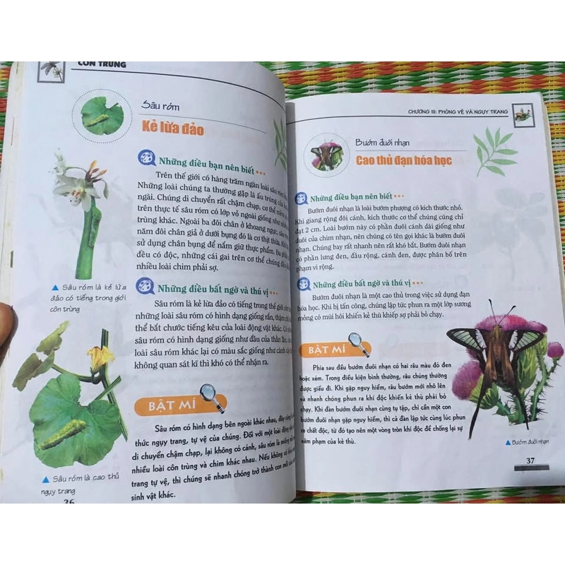 Khám Phá Bí Ẩn Thế Giới Tự Nhiên Dành Cho Học Sinh : Côn Trùng 475385