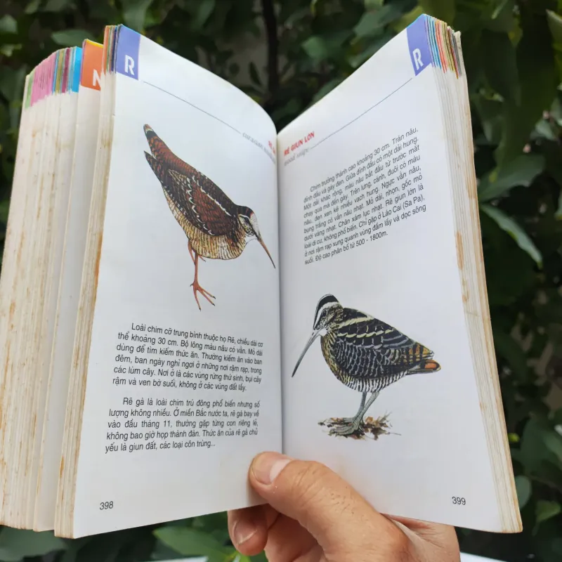 Từ Điển Tranh Về Các Con Vật - Lê Quang Long 753786