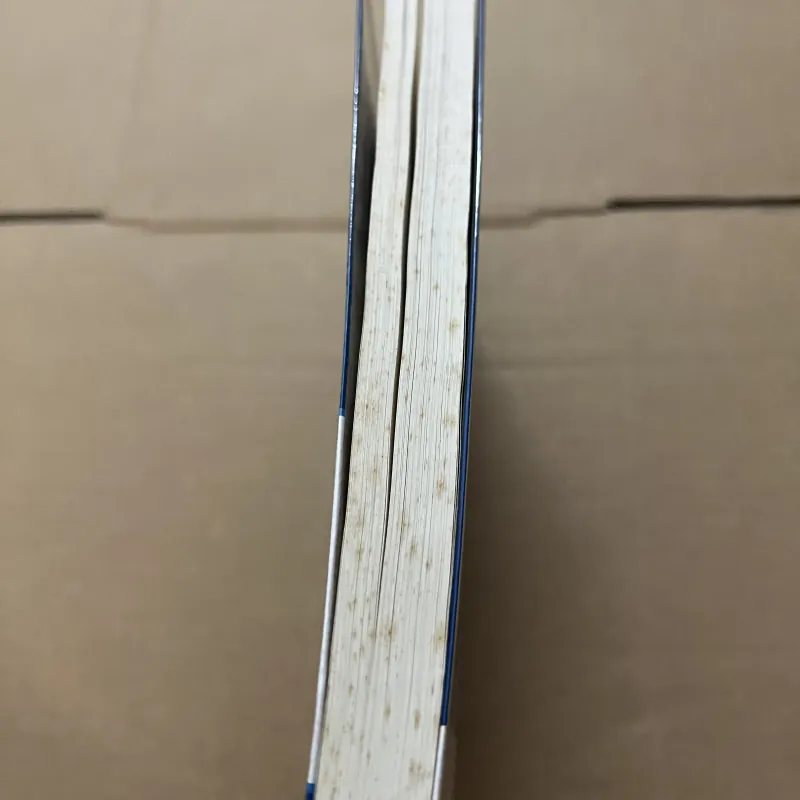 Hiện Tượng Do Thái 749219