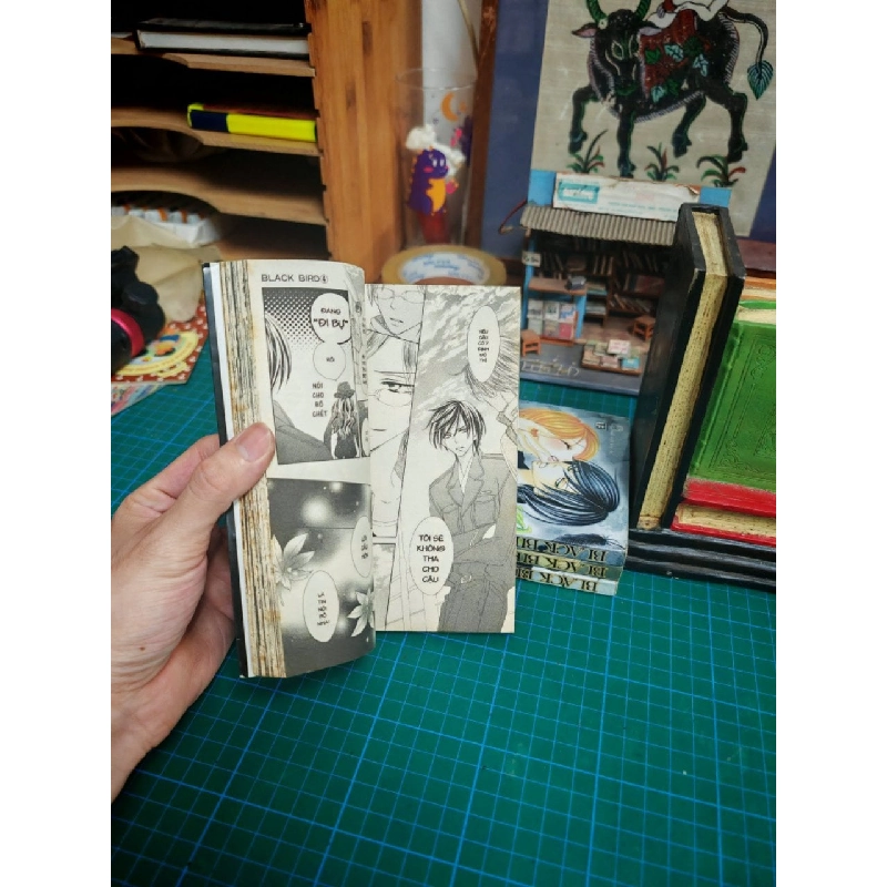 Truyện tranh Black Bird 734011