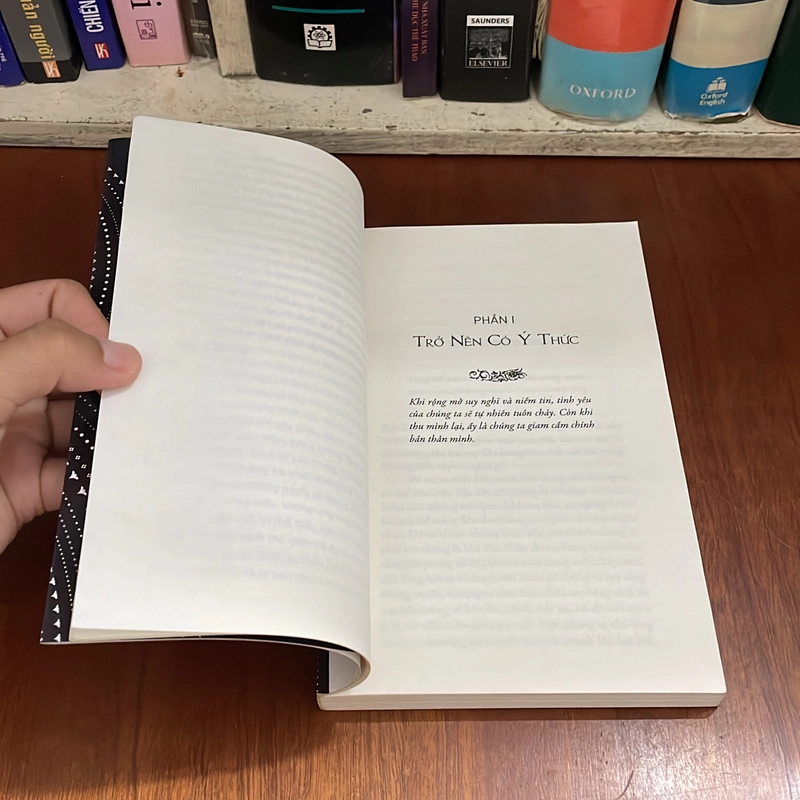 II Tựa sách: Sức Mạnh Thần Thánh Ở Trong Ta - LOUISE L. HAY - 2015 547986