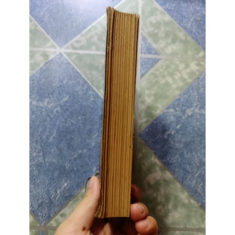 Tiểu thuyết hiện đại - Giáo sư đại học Columbia 998426