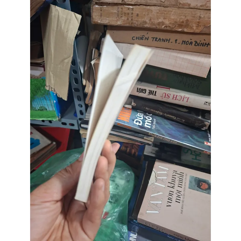 Việt Nam tấm thảm kịch Đông Dương 1001738