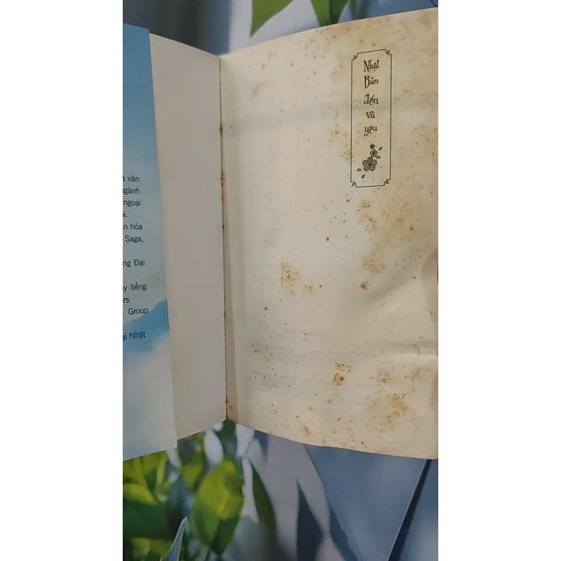 Nhật Bản Đến Và Yêu - Dương Linh 798355