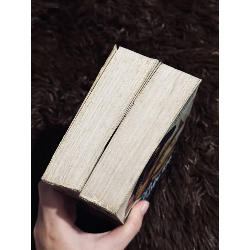 Cuốn theo chiều gió (Dương Tường dịch) 713120