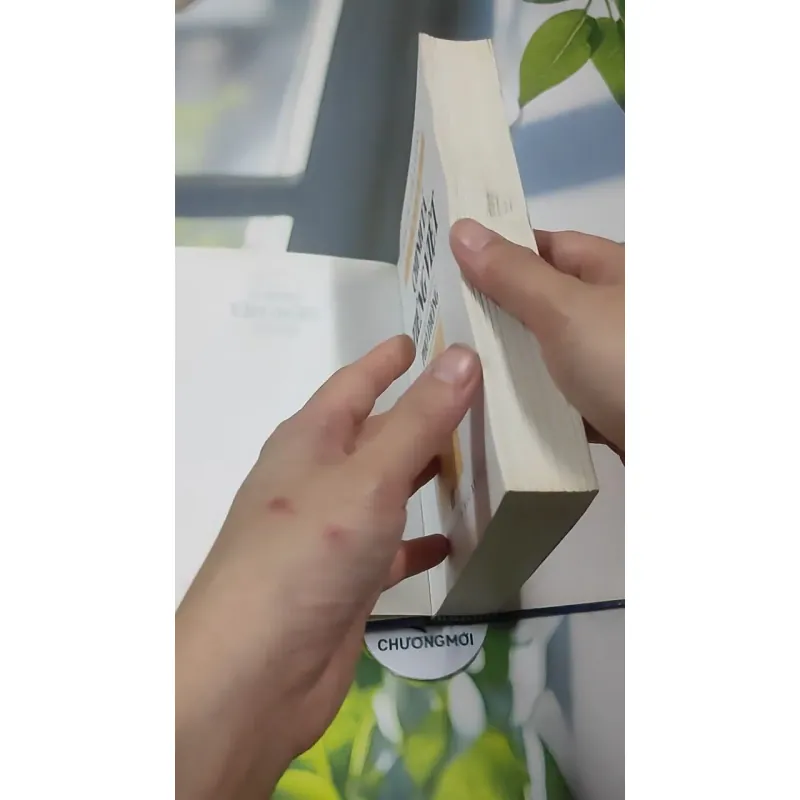 Từ Điển Chính Tả Tiếng Việt Phổ Thông - Nguyễn Văn Khang 727389