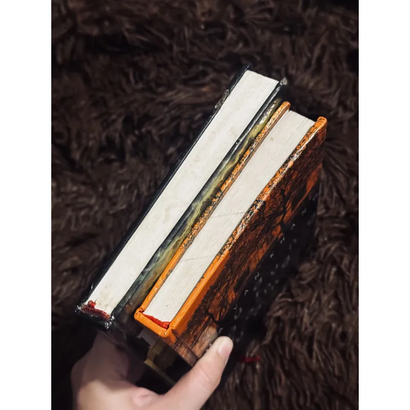 Combo 2 cuốn văn học Việt Nam (bìa cứng) 995033