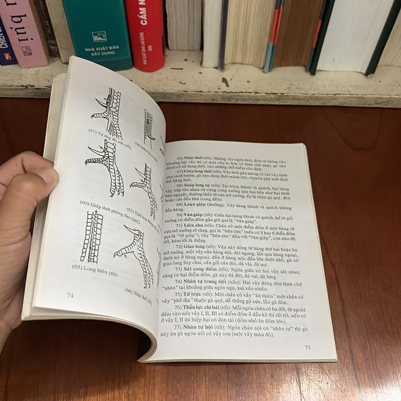 II Tựa Sách: Bí Quyết Chọn Và Nuôi Gà Đá - Xuân Tùng - 2010 607594