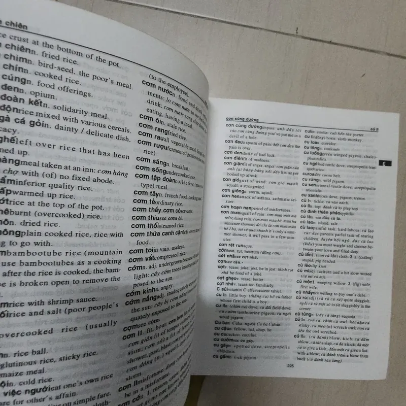 Sách Từ điển Việt Anh 715747
