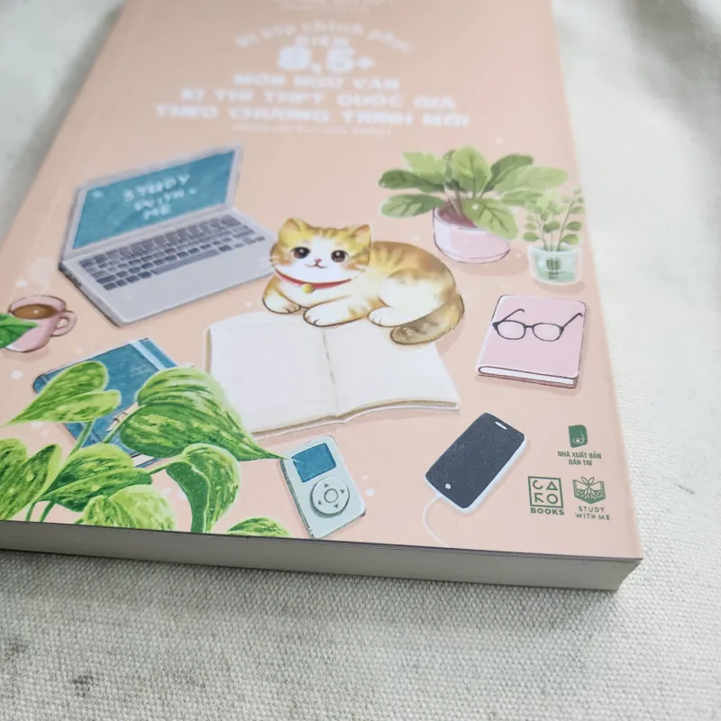 Bí kíp chinh phục điểm 8,5 môn Ngữ văn | Phạm hoàng khánh linh 928679