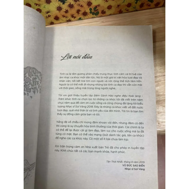 Đêm Gành Hào Nghe Điệu Hoài Lang - Vũ Đức Sao Biển 961388