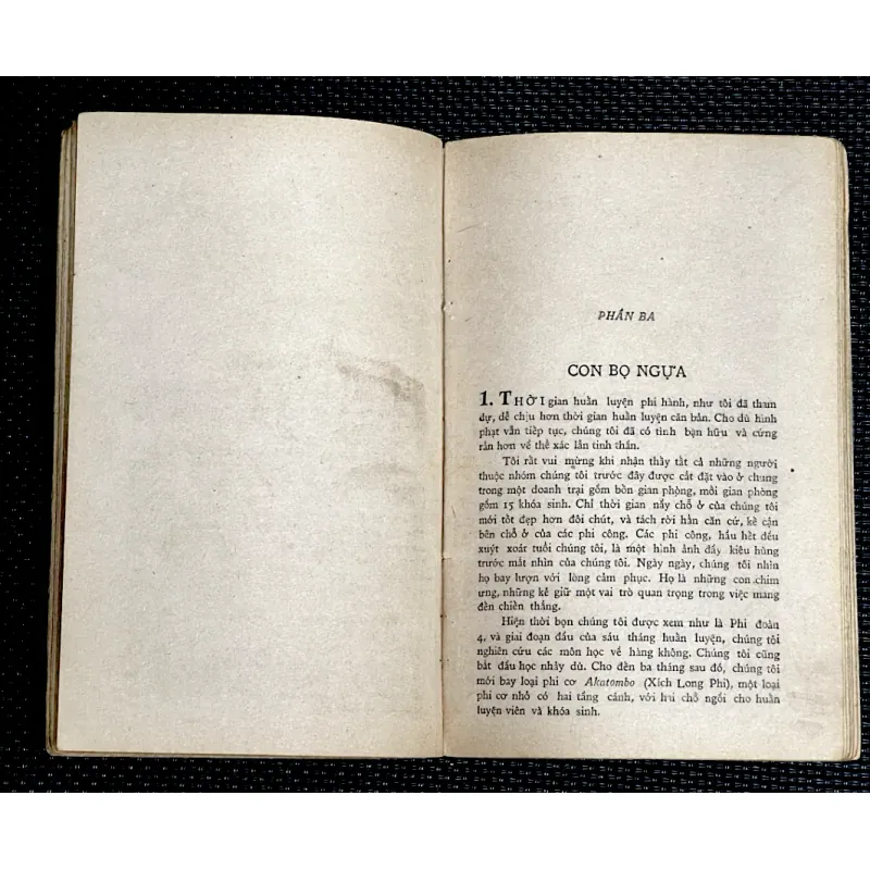 THẦN PHONG KAMIKAZE 1001660