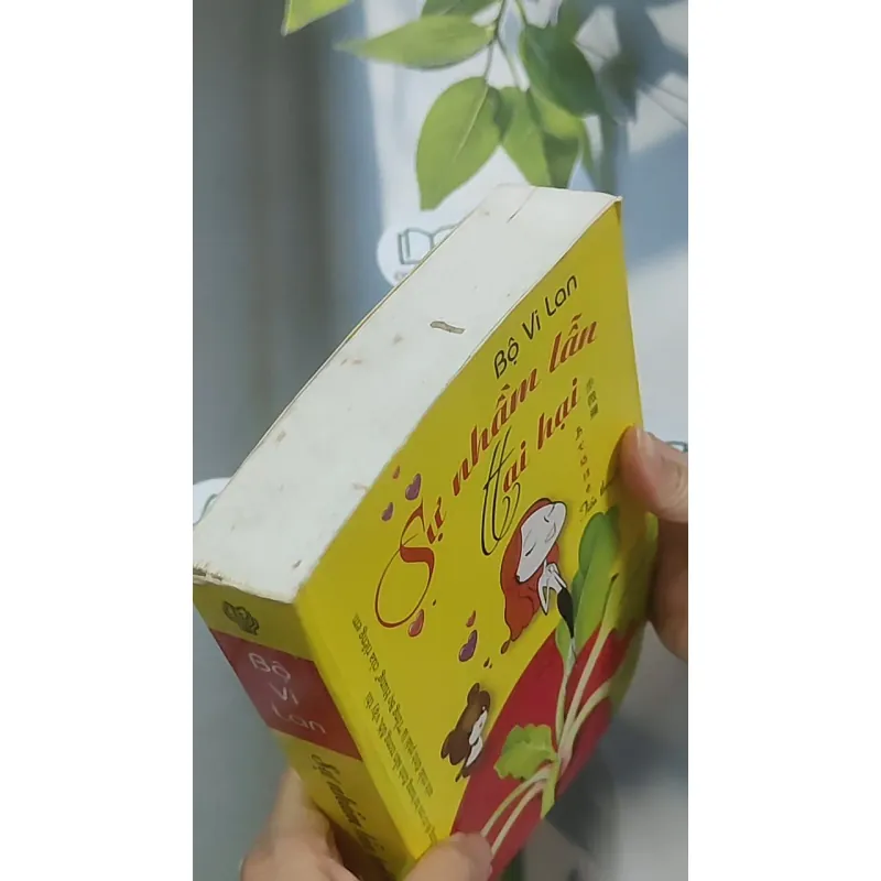 Sự nhầm lẫn tai hại - Bộ Vi Lan 688633