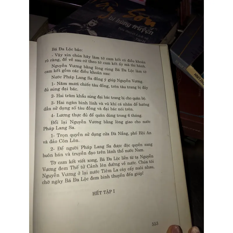 Tây Sơn bi hùng truyện - Lê Đình Danh 972202