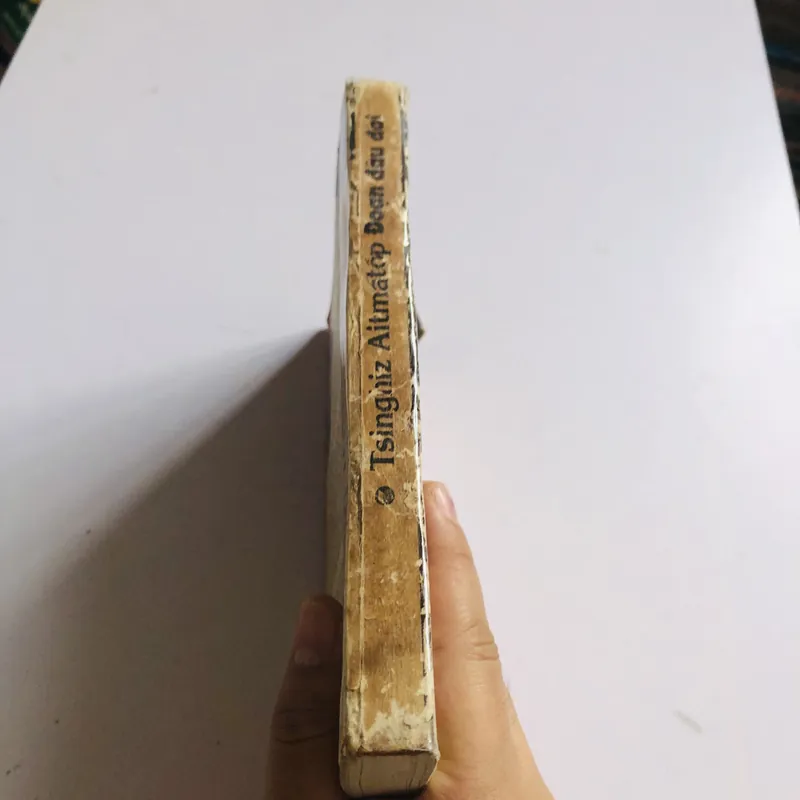 TIỂU THUYẾT ĐOẠN ĐẦU ĐÀI 572830
