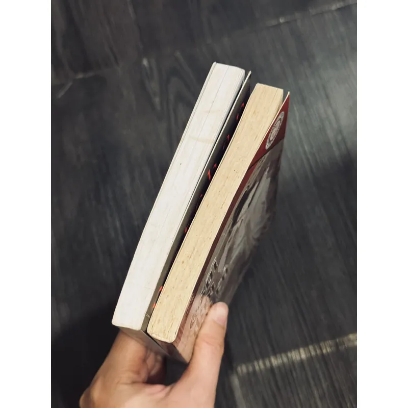 Combo Natsume Soseki 598807