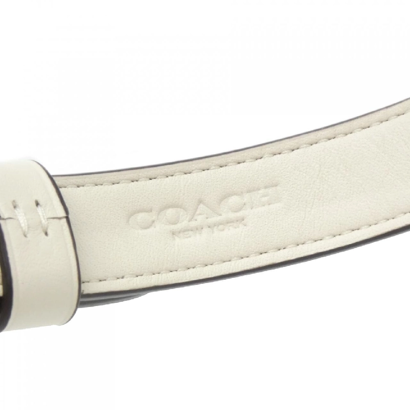 【Sản phẩm mới】Coach CH146 Màu cổ cho thú cưng 625507