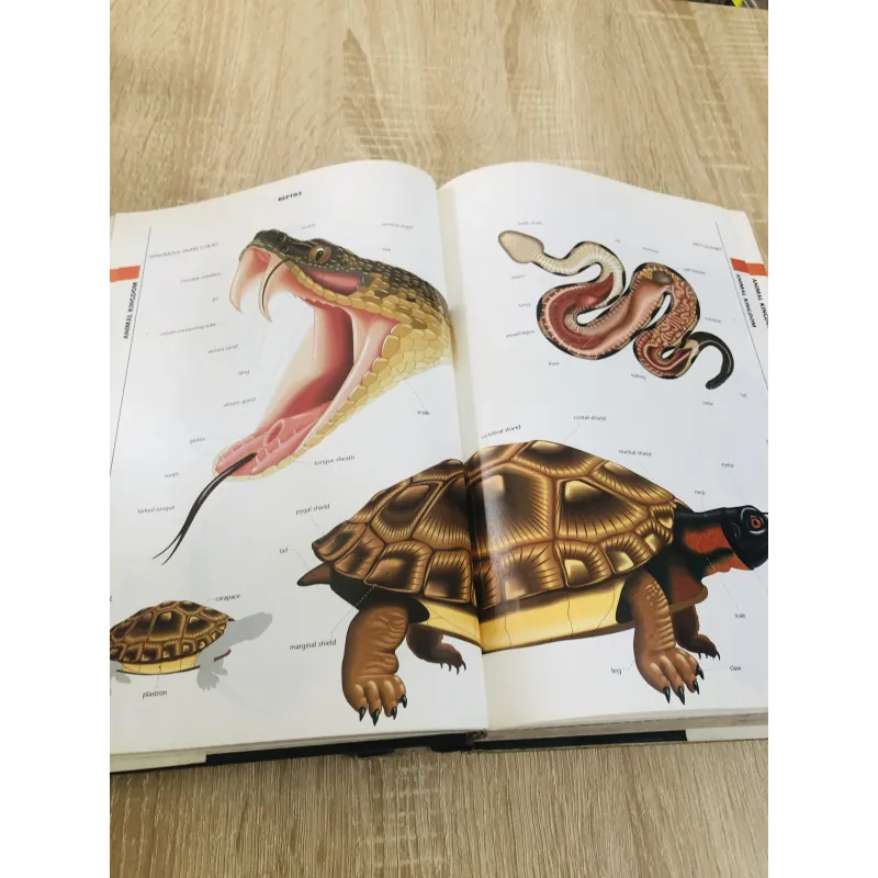 THE MACMILLAN VISUAL DICTIONARY 968636