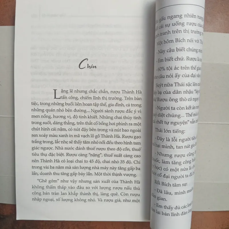 Cây bàng lá đỏ 996479