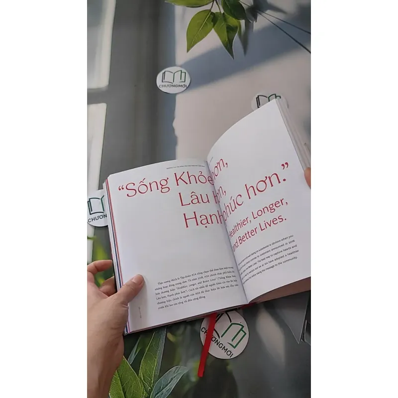 [MIỄN PHÍ BỌC SÁCH] Trên Mảnh Đất Kiên Cường - Wayne in Vietnam: In the Land of Resilience (song ngữ) - Wayne Besant 990097
