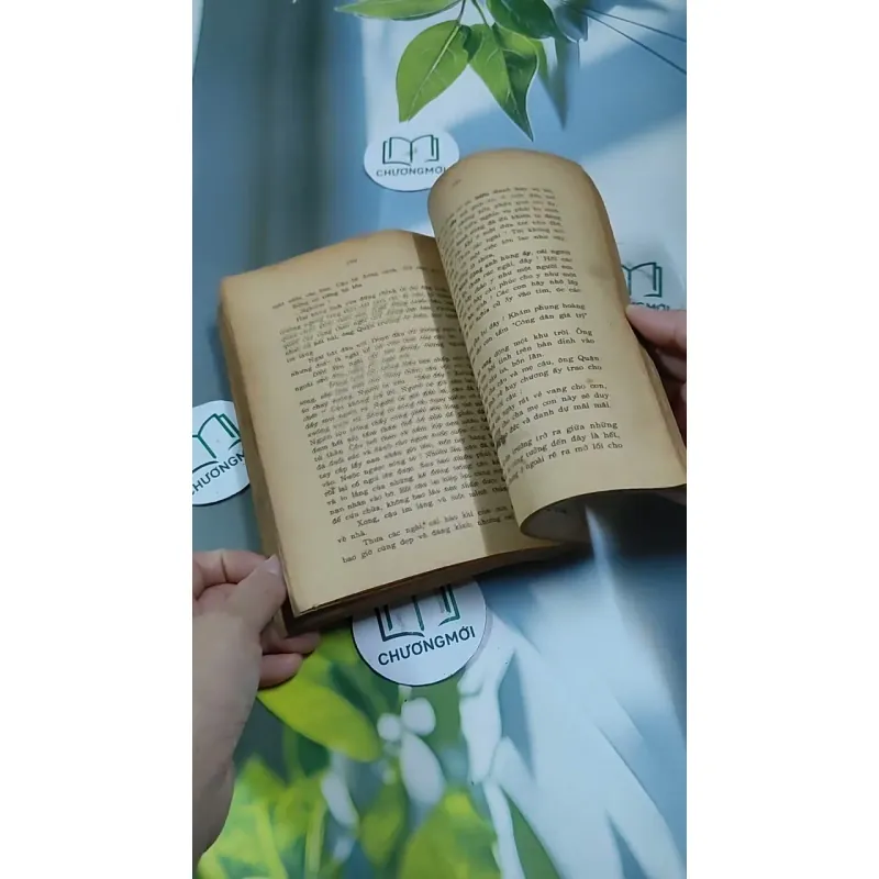 Tâm Hồn Cao Thượng (1989) 713894