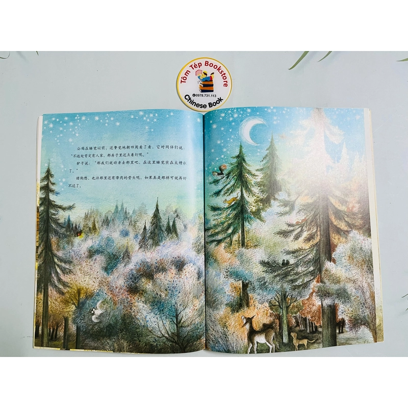 Sét sách tranh triết học cho trẻ em-tiếng Trung 498824