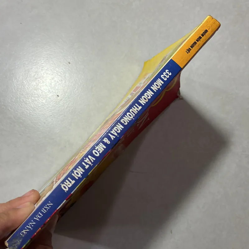 333 món ngon thường ngày và mẹo vặt nội trợ 791569