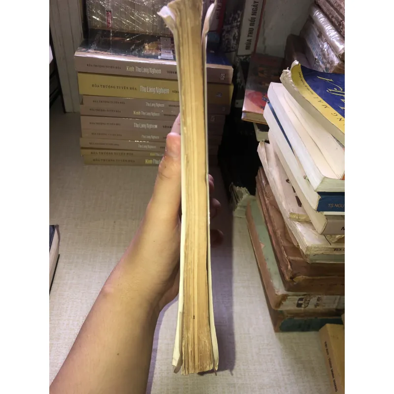 Nghệ thuật quản lý kiểu nhật bản-Mitokazu aoki 937096